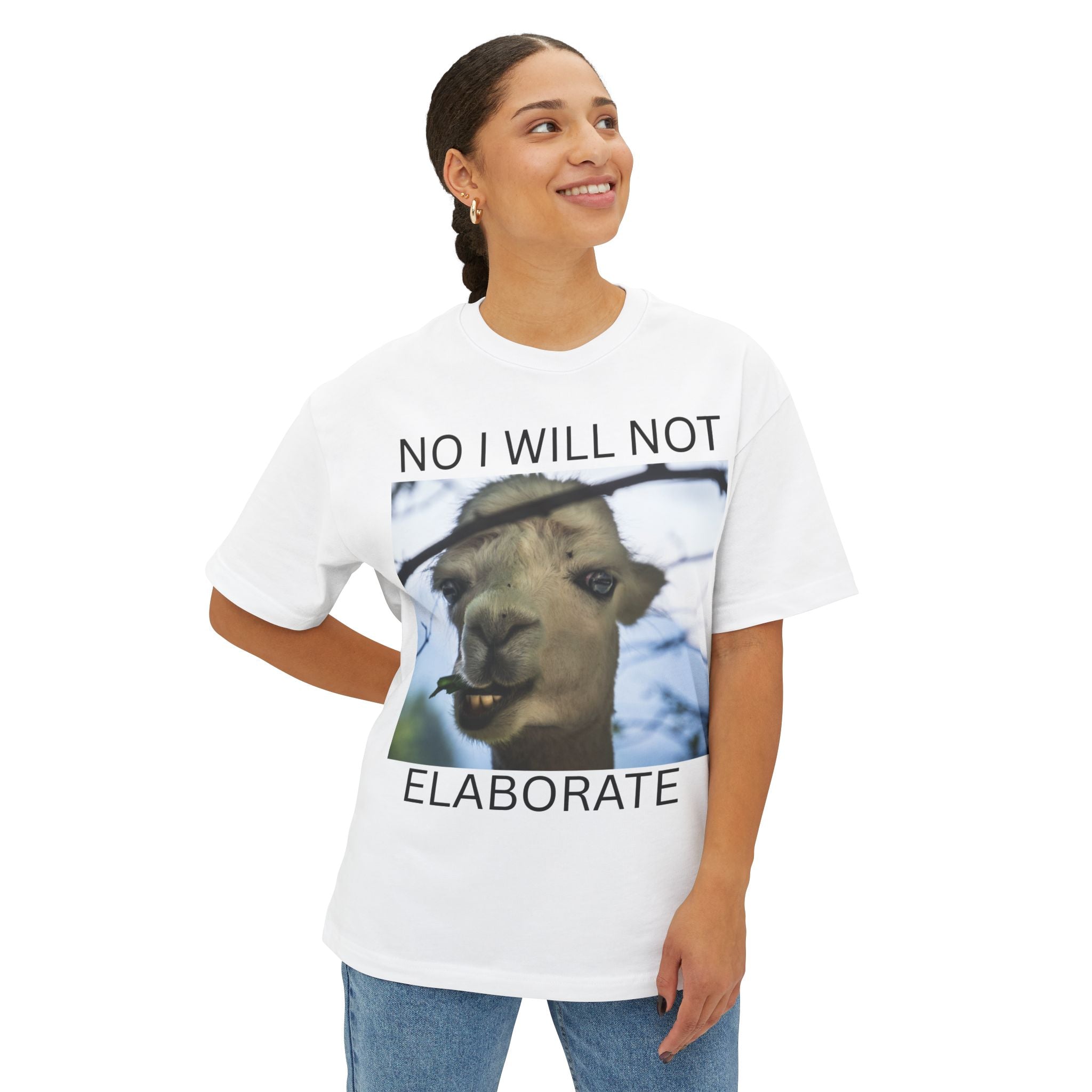 No I Will Not Elaborate Llama Tee – Funny Animal Graphic T-Shirt