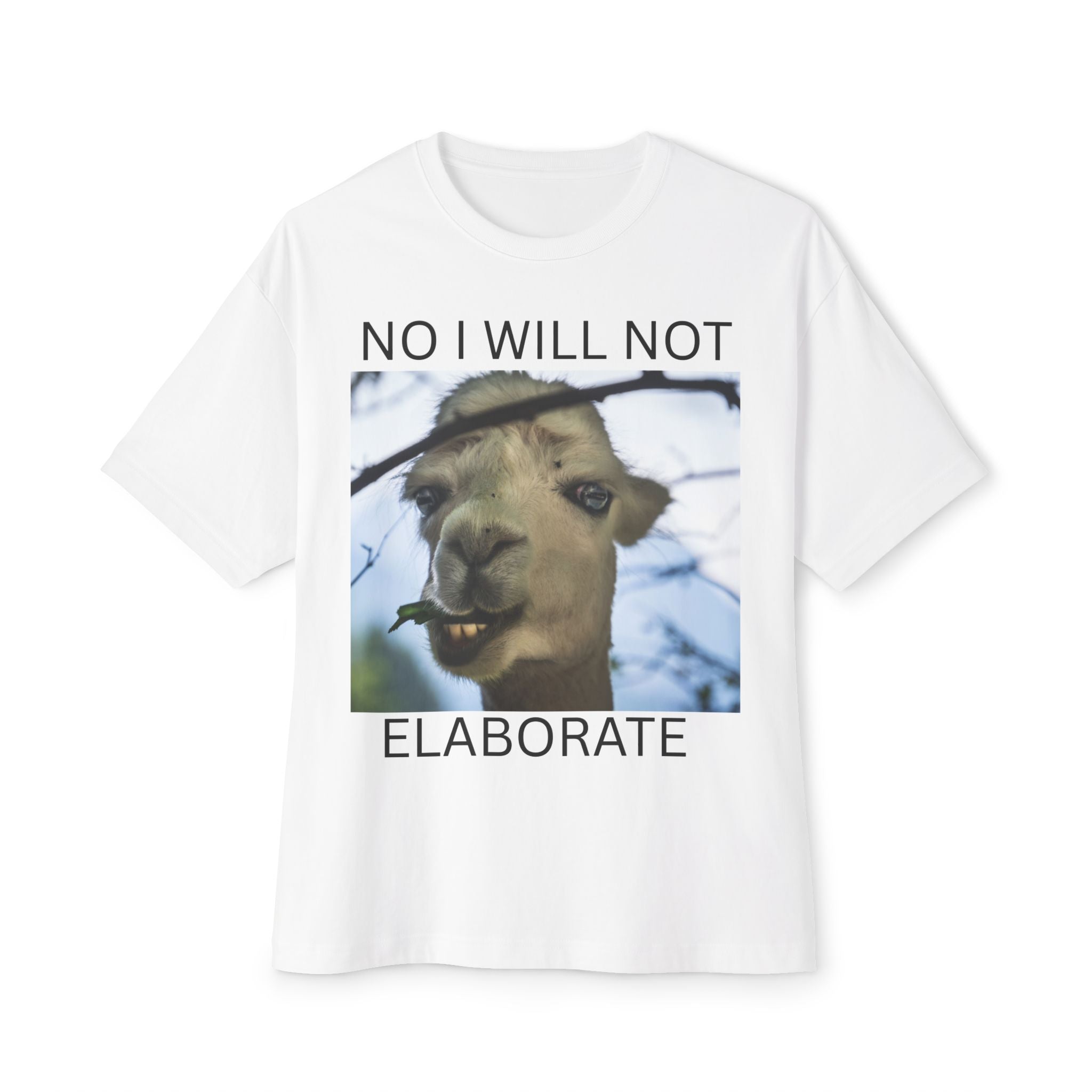 No I Will Not Elaborate Llama Tee – Funny Animal Graphic T-Shirt