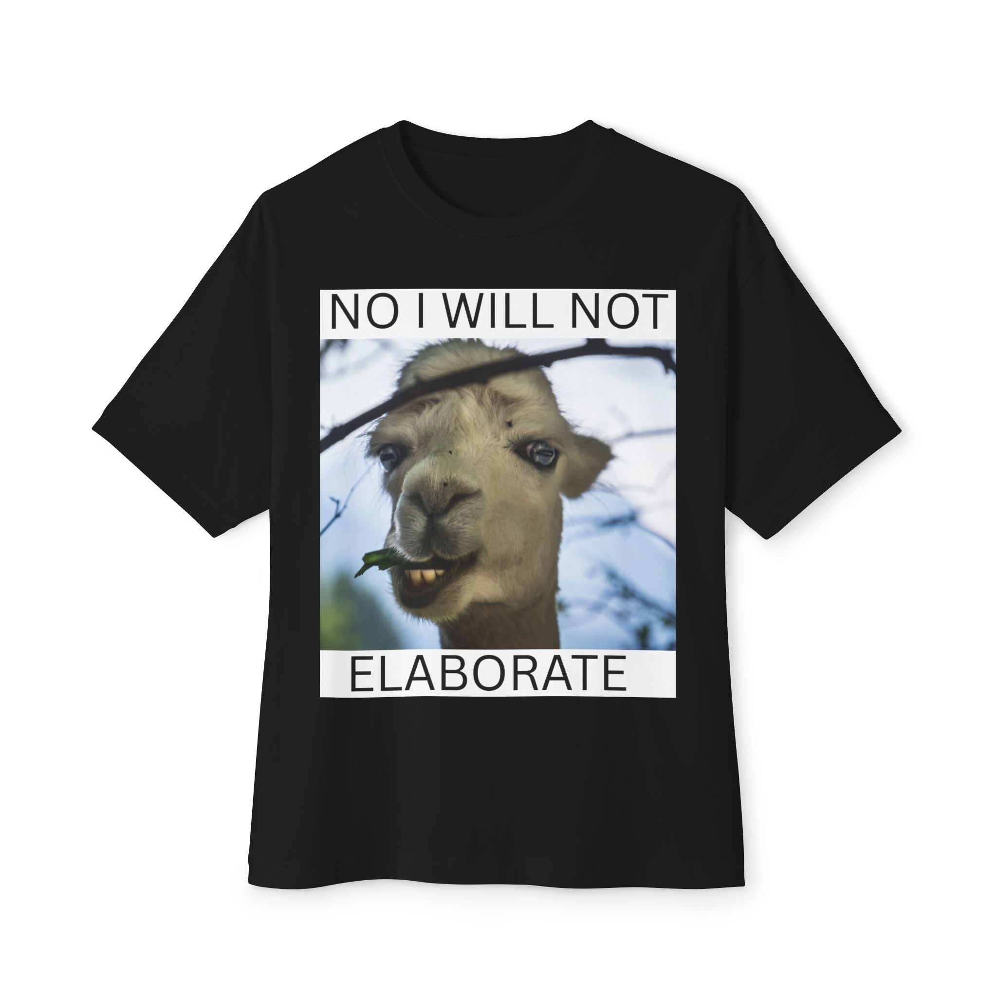 No I Will Not Elaborate Llama Tee – Funny Animal Graphic T-Shirt