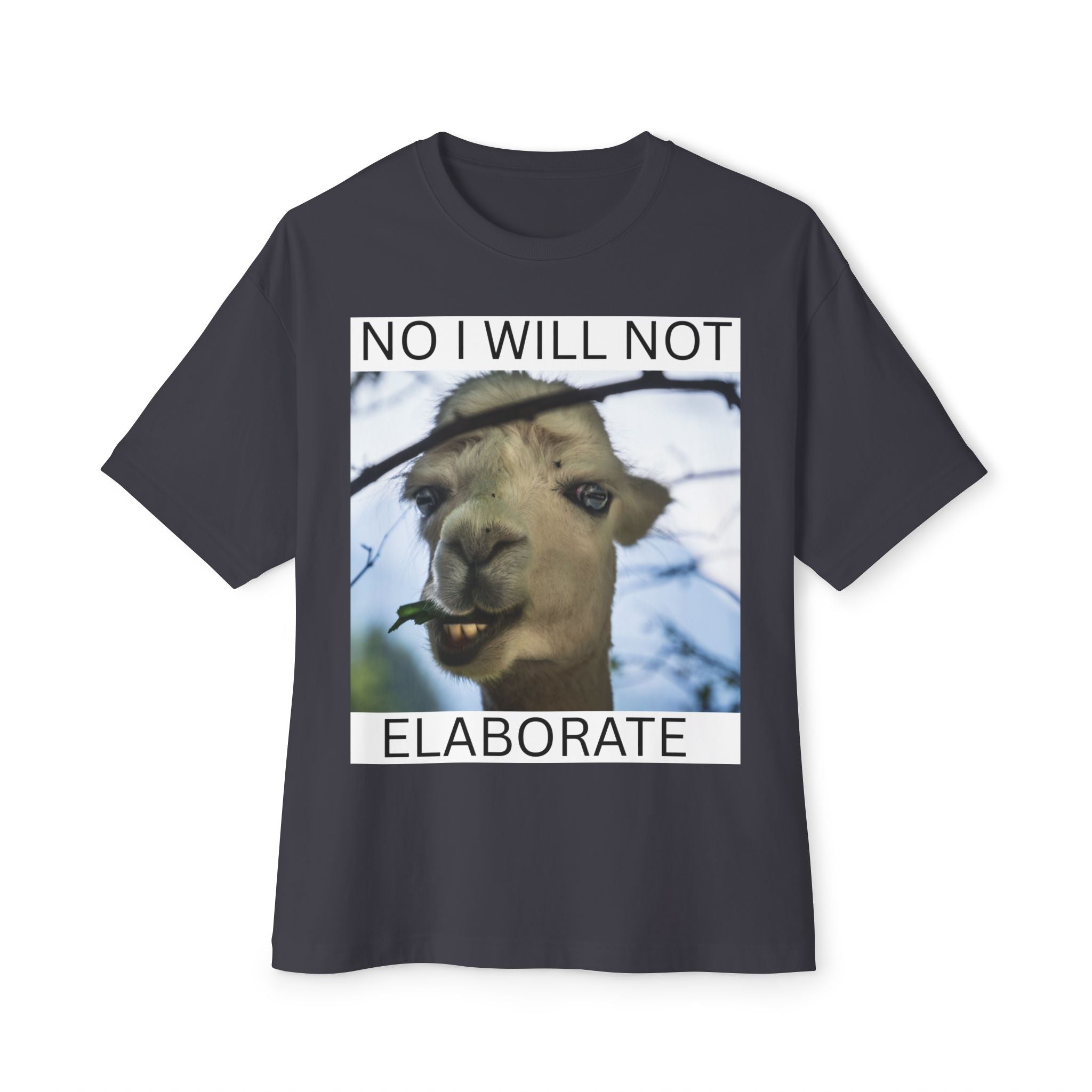 No I Will Not Elaborate Llama Tee – Funny Animal Graphic T-Shirt