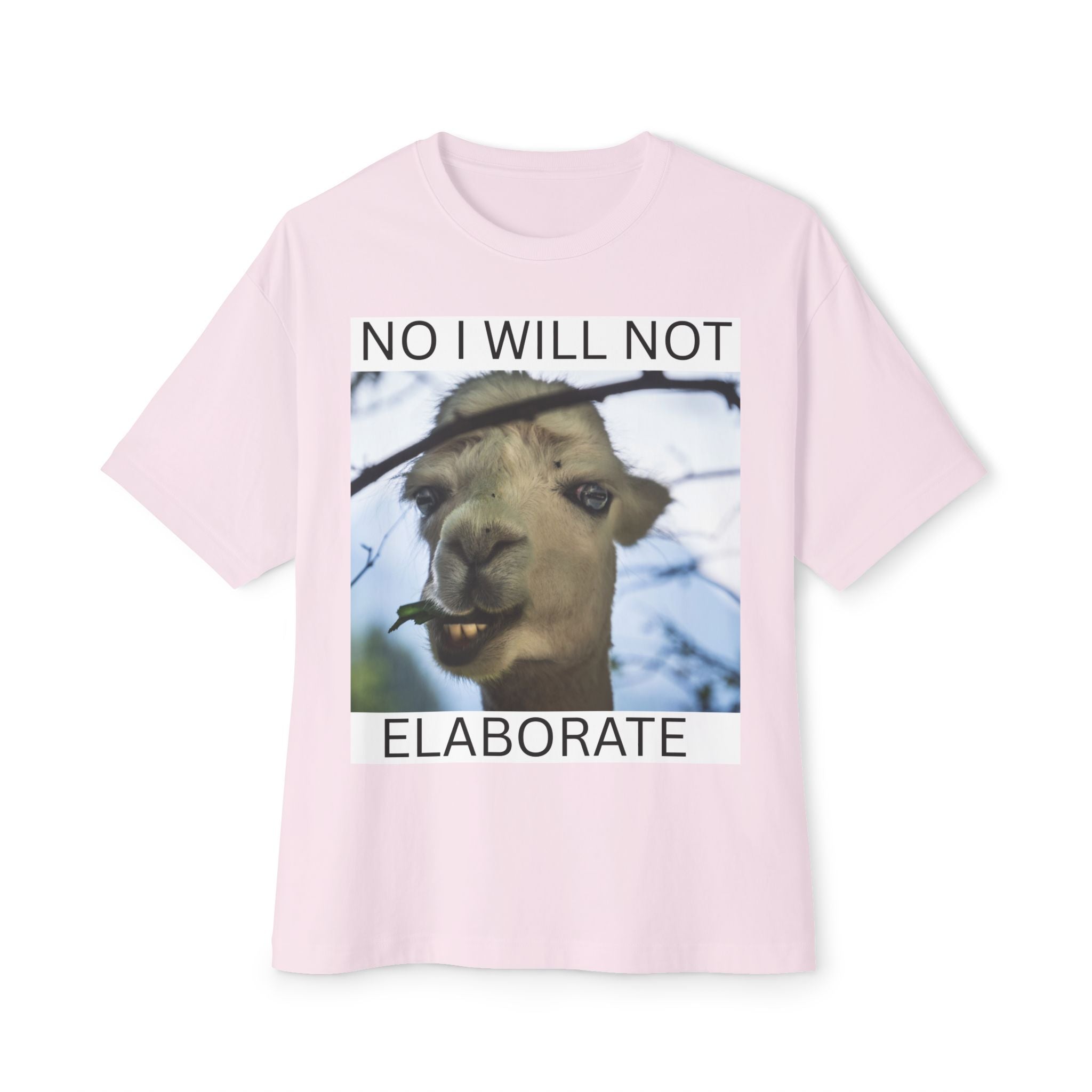 No I Will Not Elaborate Llama Tee – Funny Animal Graphic T-Shirt
